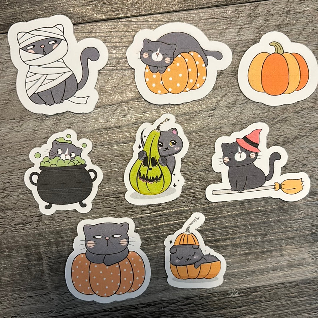 YAY Halloween festive cats!