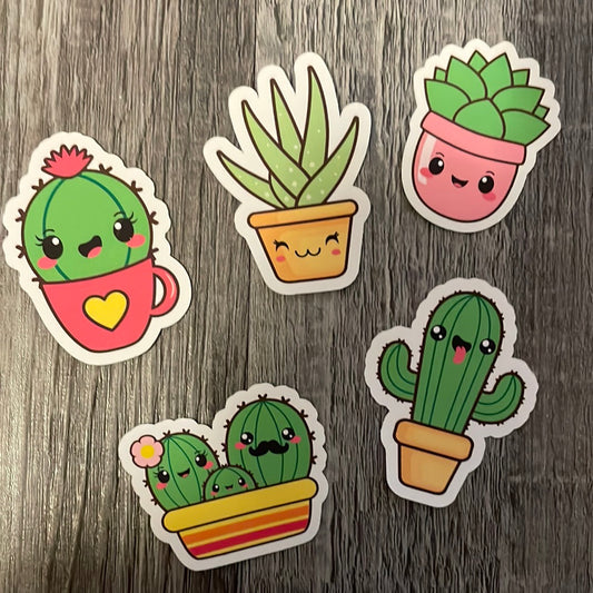 Kawaii plants & succulents!