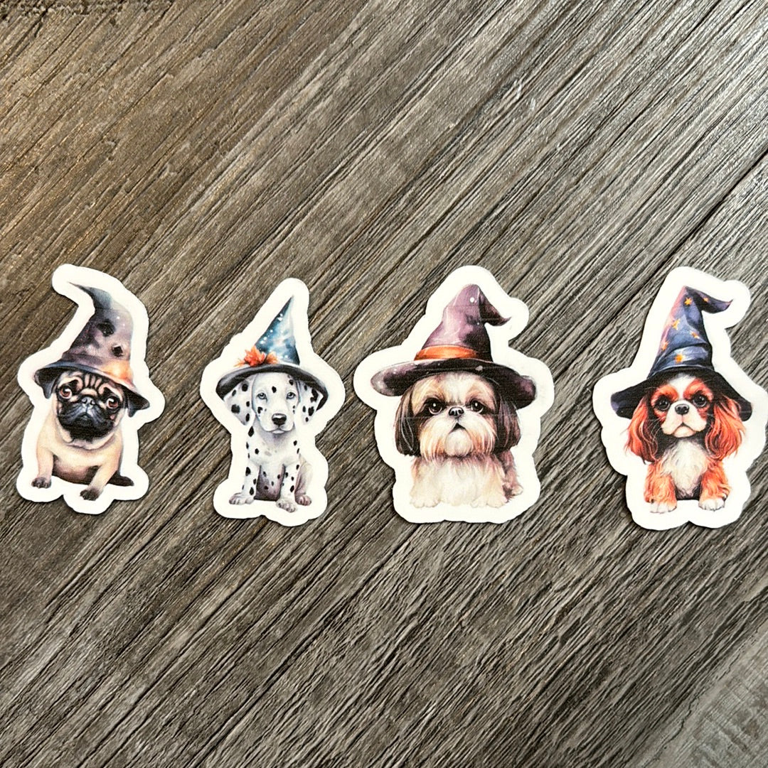 Halloween dogs with witch hats!