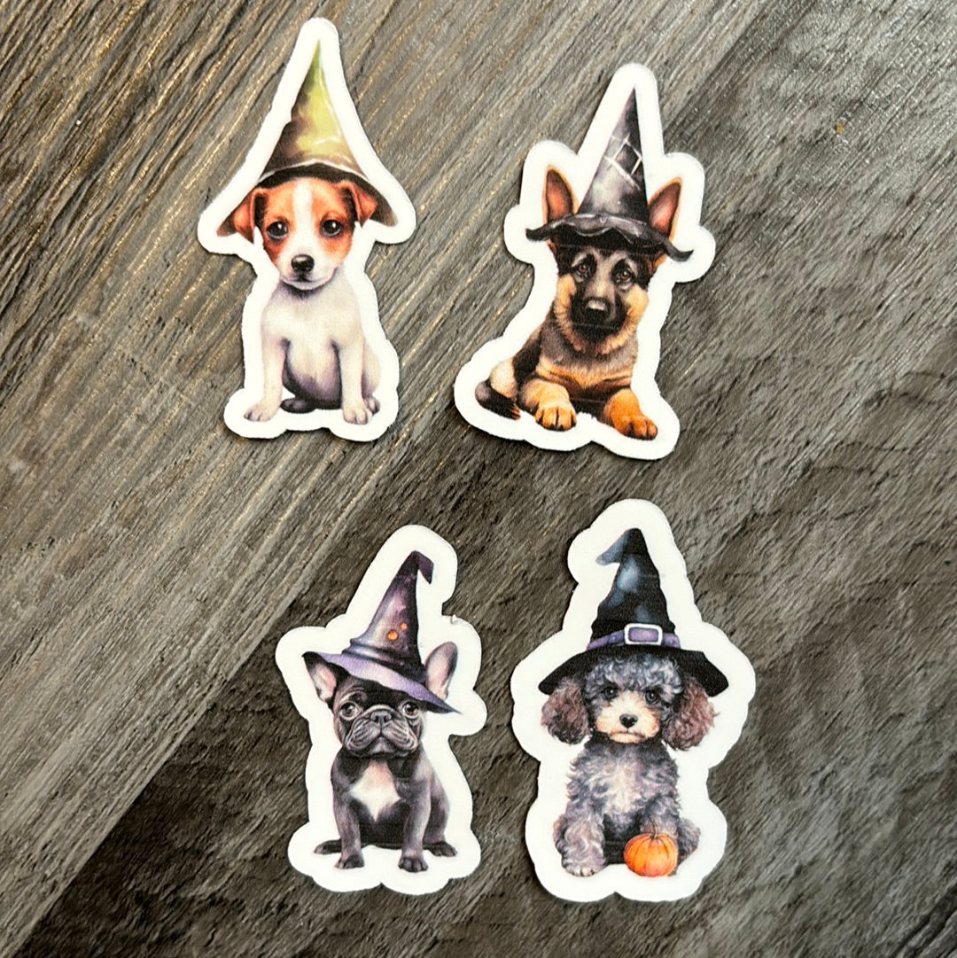 Halloween dogs with witch hats!