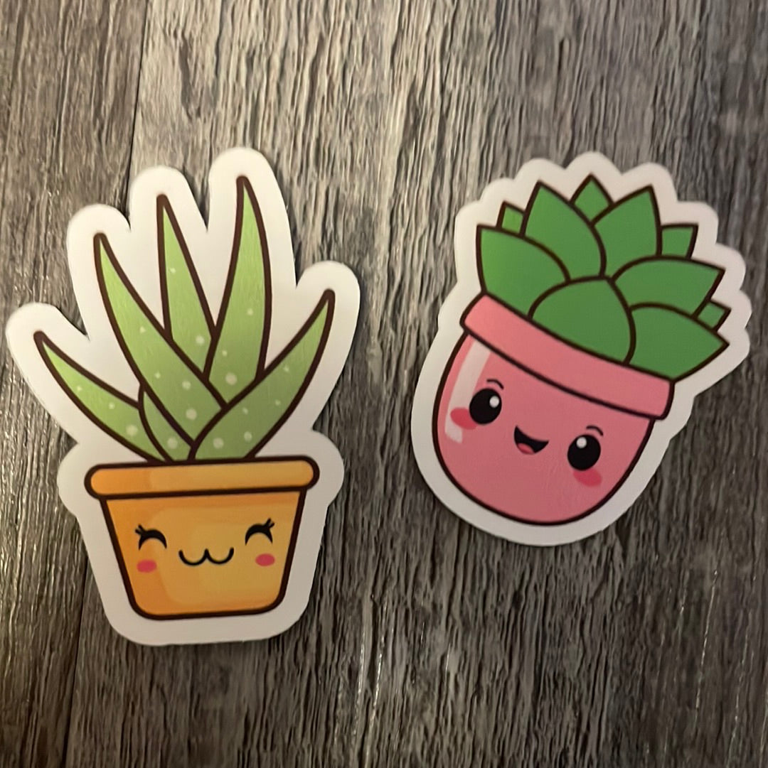 Kawaii plants & succulents!