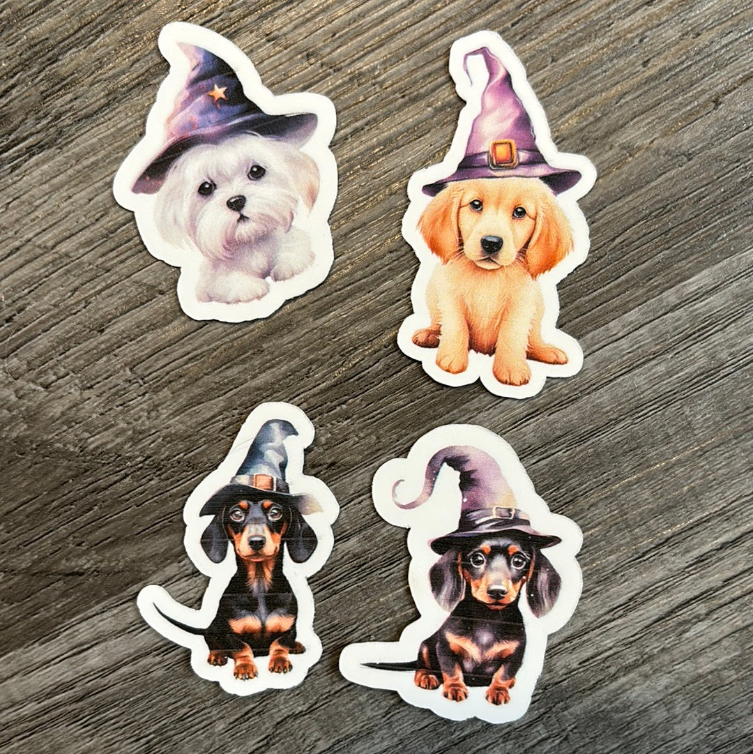 Halloween dogs with witch hats!