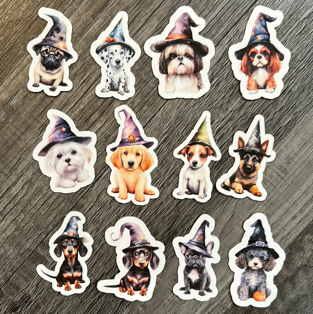 Halloween dogs with witch hats!