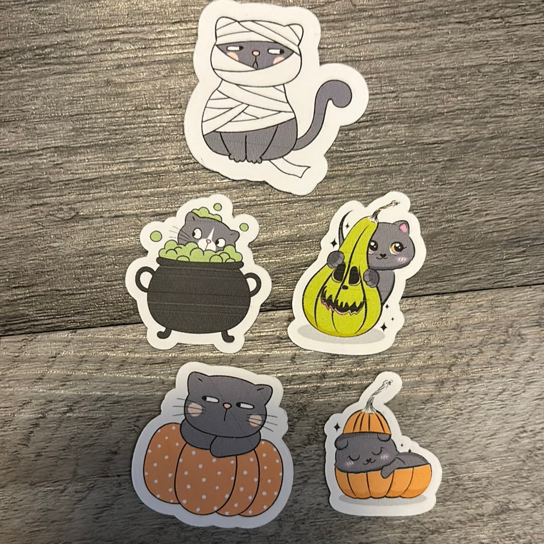 YAY Halloween festive cats!